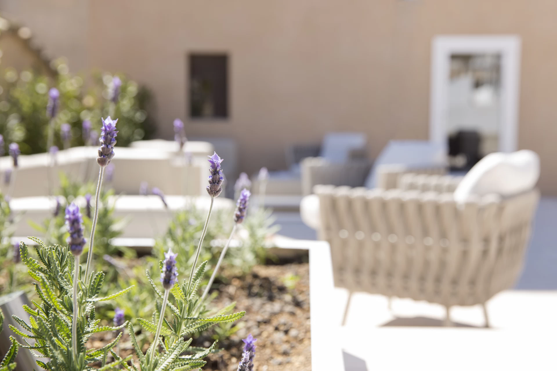 Hotel Convent de la Missi�