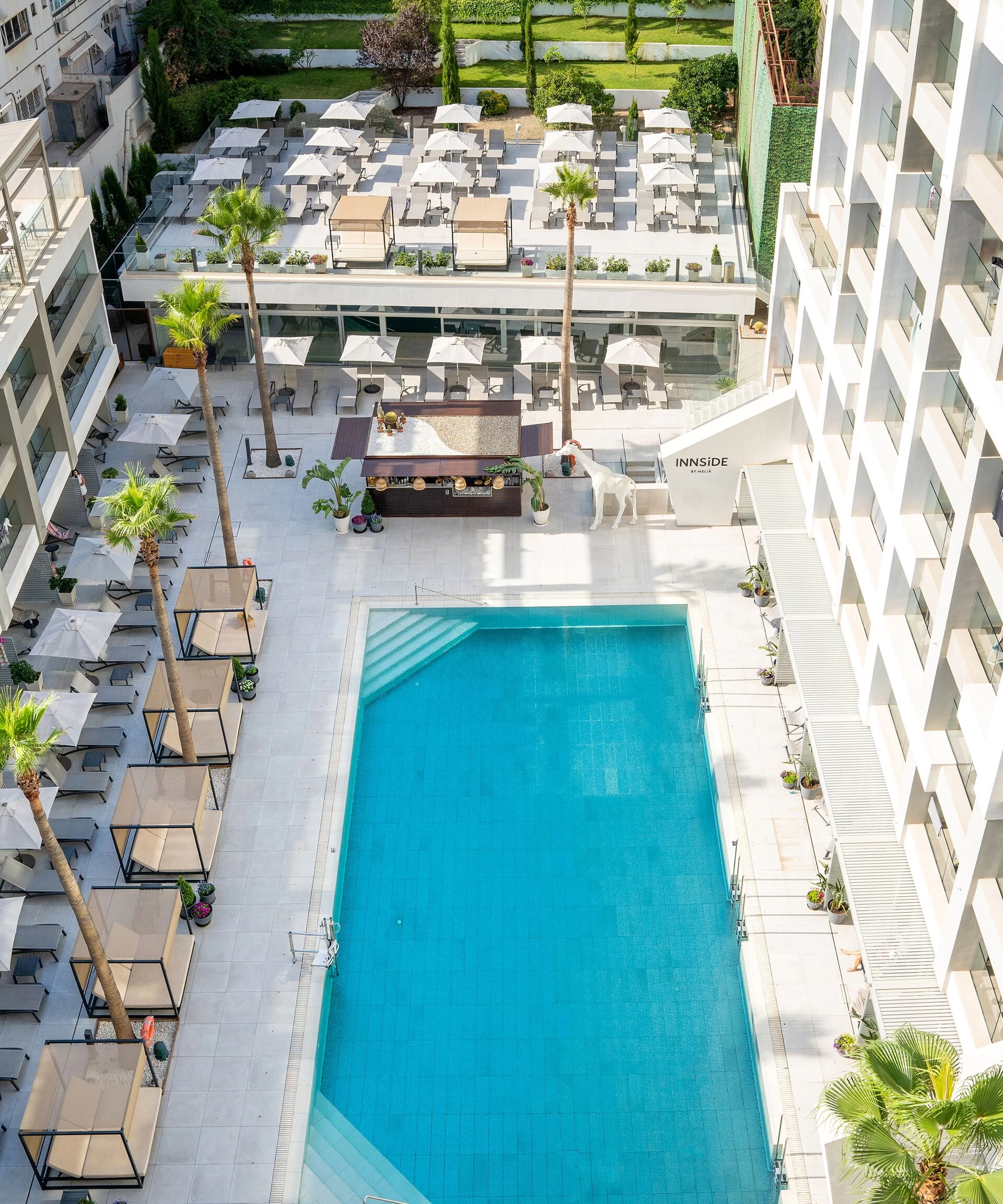Mel�a Inside Palma Bosque